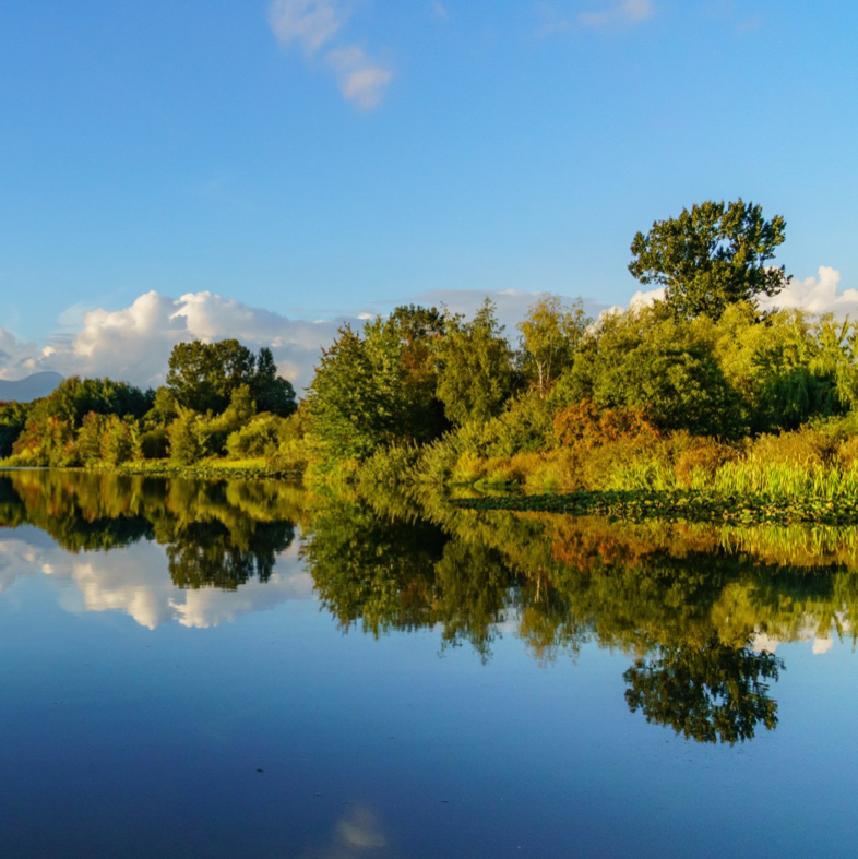 beautiful-view-of-the-trees-and-the-sky-reflecting-on-the-water-on-a-sunny-day.jpg